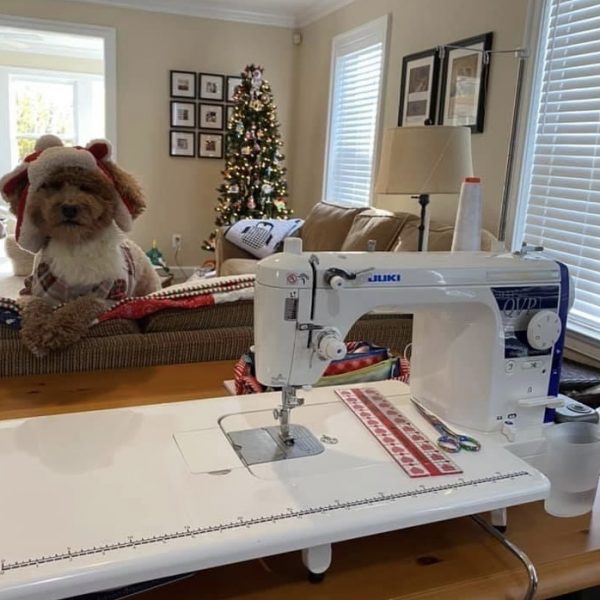Juki TL-18QVP Haruka Quilting and Sewing Machine - Image 2